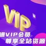 VIP会员介绍