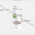 Project2019软件安装教程