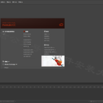 Ancc2018（原名flash）软件安装教程