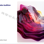 Au 2022软件安装教程